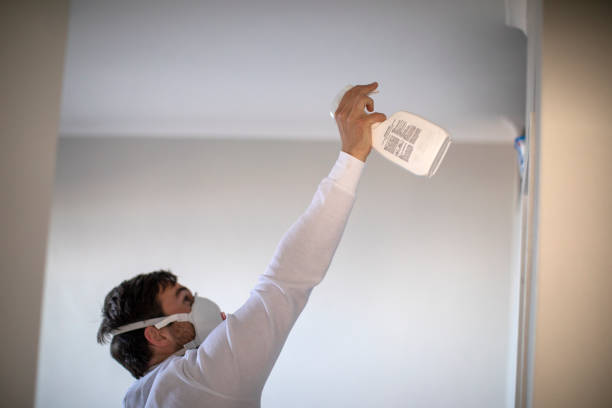 Best Black Mold Remediation in Chagrin Falls, OH