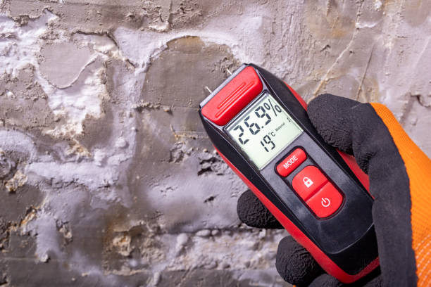 Best Crawl Space Mold Remediation in Chagrin Falls, OH
